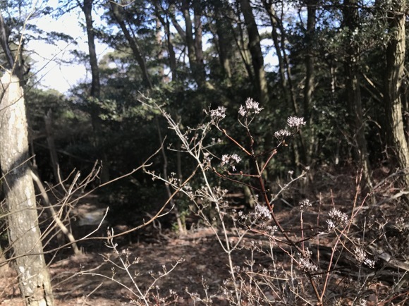 e0024081_10004545.jpg