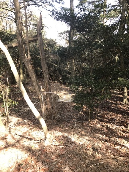 e0024081_10014294.jpg