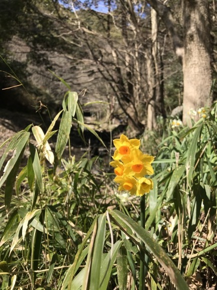 e0024081_10414963.jpg