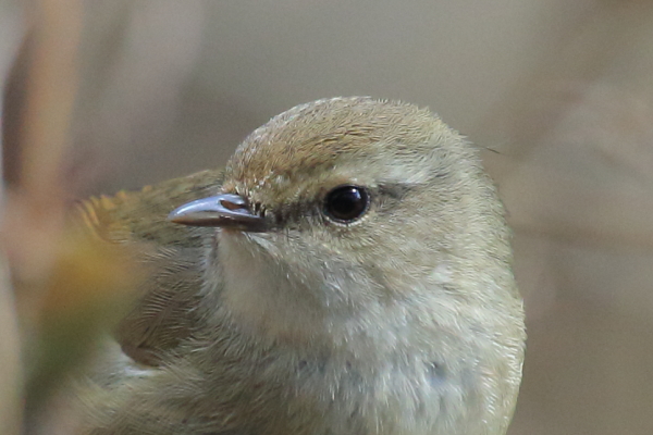 a0215484_21103410.jpg