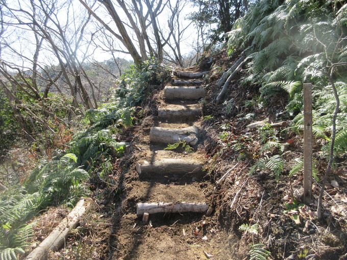 f0053885_20421657.jpg