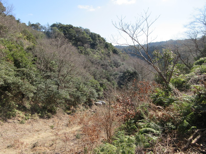 f0053885_20424577.jpg