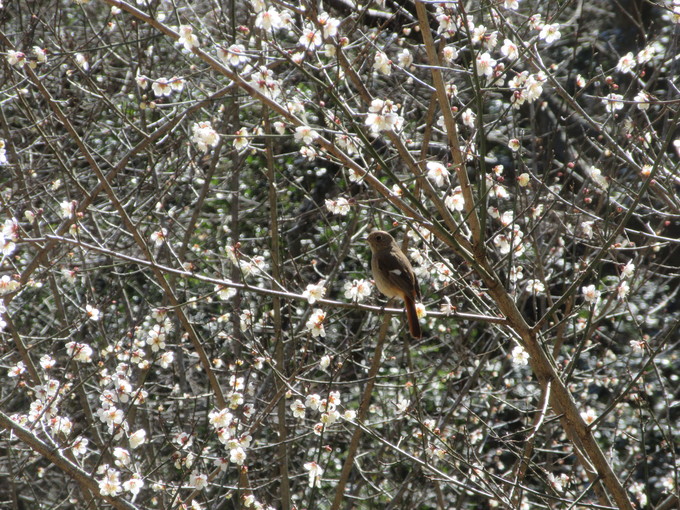 f0053885_20463724.jpg