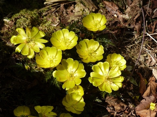 f0357487_22551448.jpg