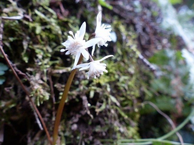 f0357487_23055206.jpg