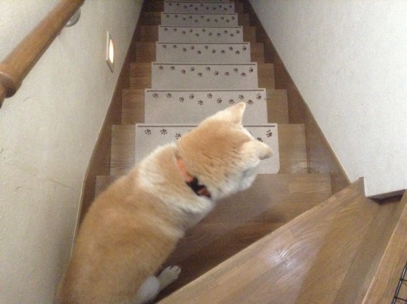 c0123890_20111139.jpeg