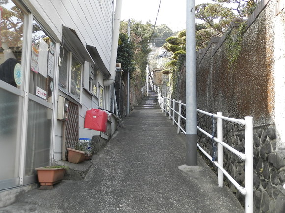 f0181793_1654825.jpg