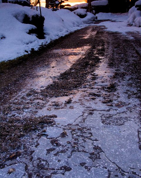 c0008502_9161779.jpg