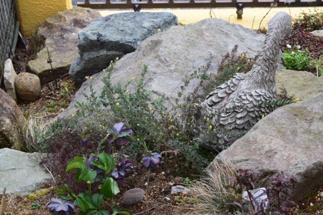e0346002_11370104.jpg