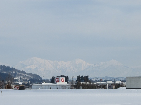 a0203003_1748341.jpg