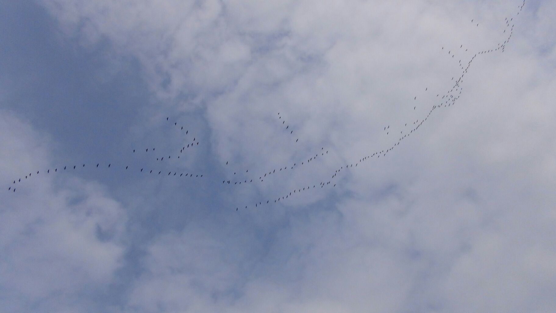 f0231709_10555944.jpg