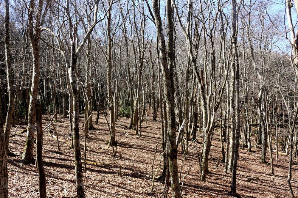 f0212511_22082289.jpg