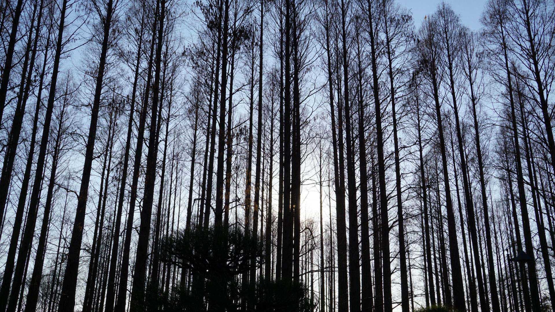 c0016112_10463561.jpg