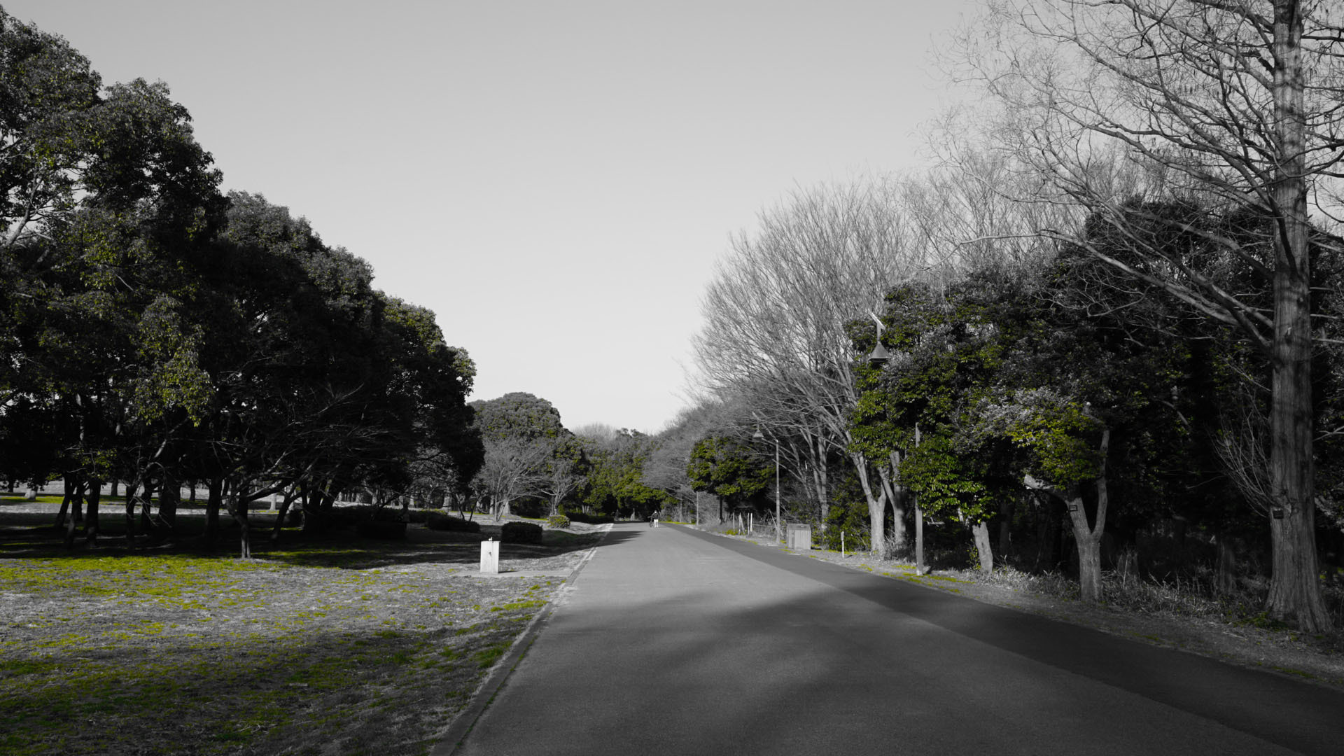 c0016112_12220885.jpg