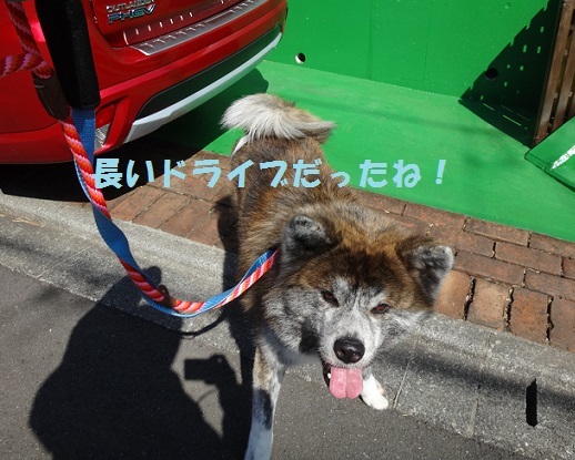 f0121712_14494129.jpg