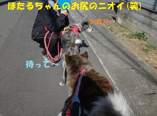 f0121712_15131171.jpg