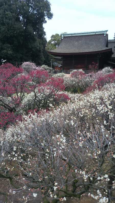 b0326613_17341573.jpg