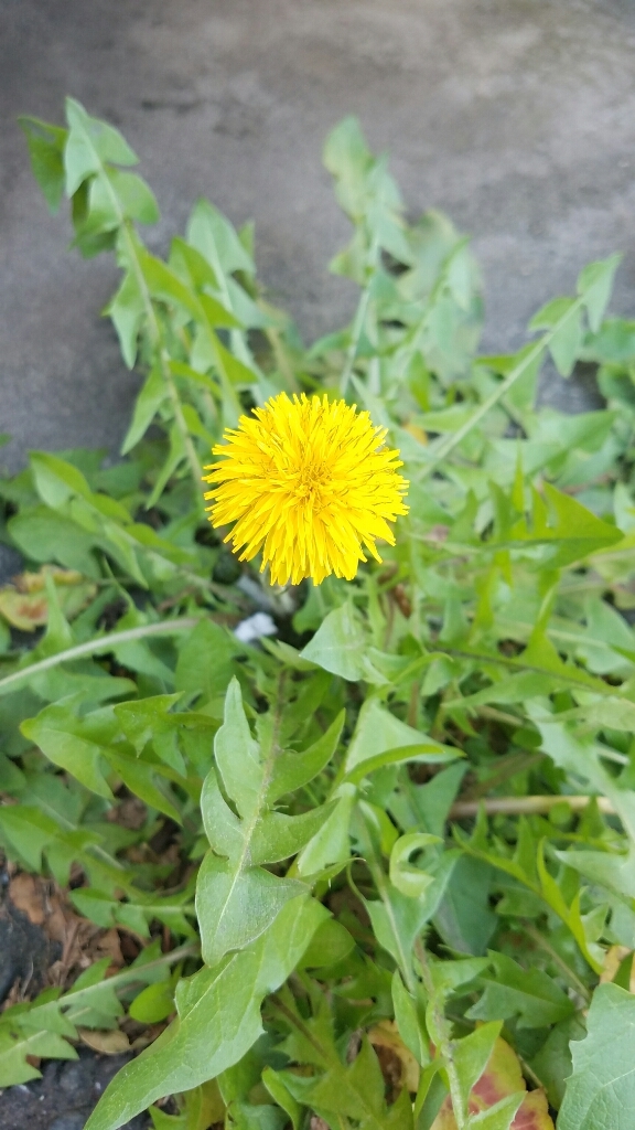 b0003126_00235824.jpg