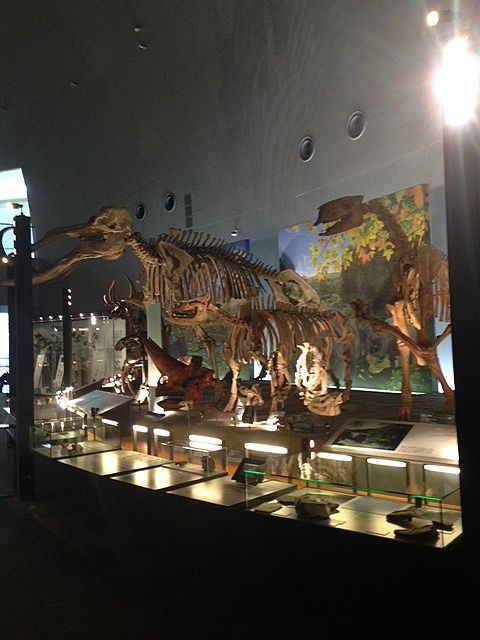c0220830_20233309.jpg