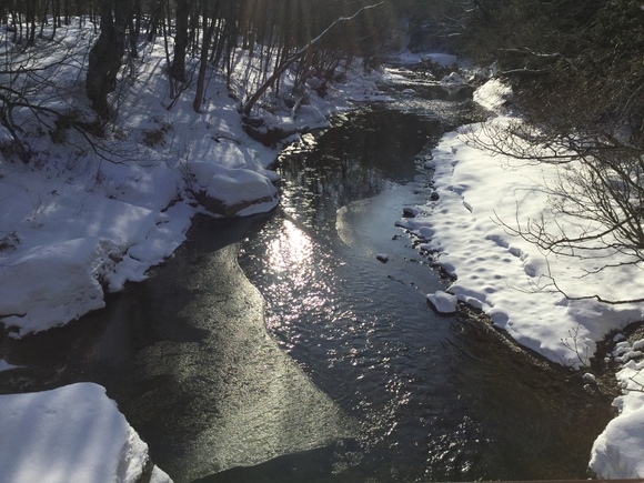 f0118332_22125492.jpg