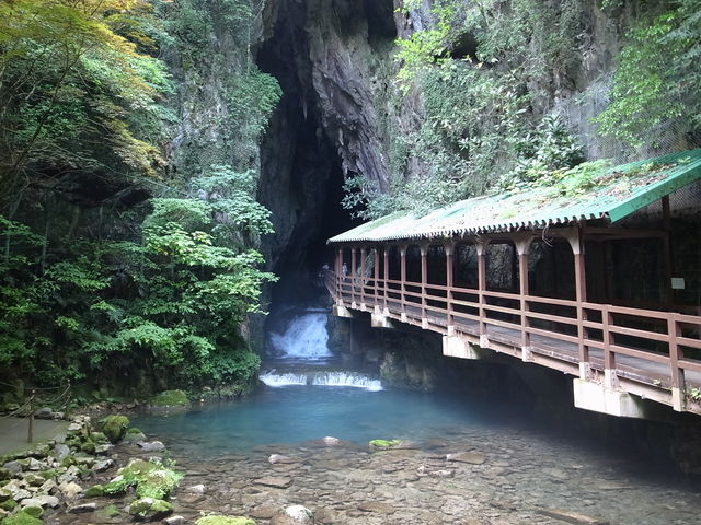 d0170835_1659481.jpg