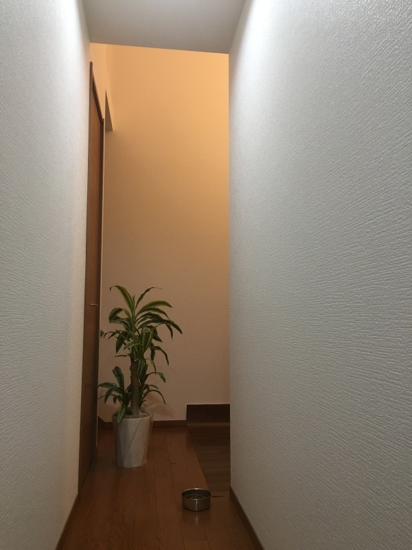 e0364035_22455035.jpg