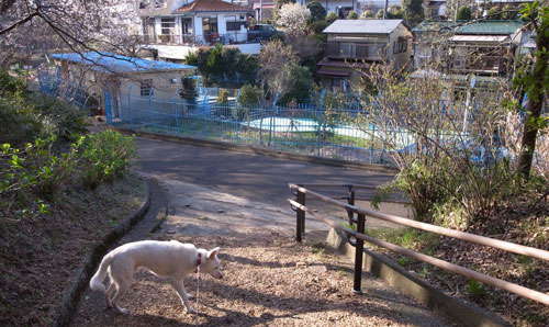 a0117039_015017.jpg
