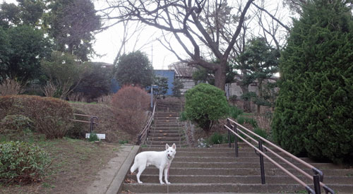 a0117039_032528.jpg
