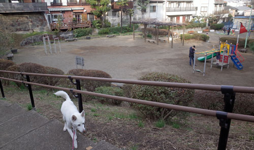 a0117039_03975.jpg
