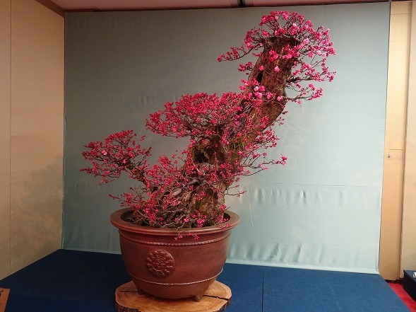 b0299042_14232325.jpg