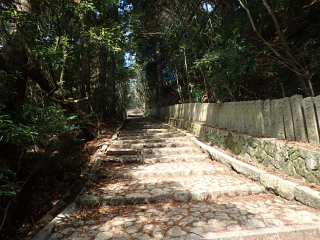 f0334143_8415143.jpg