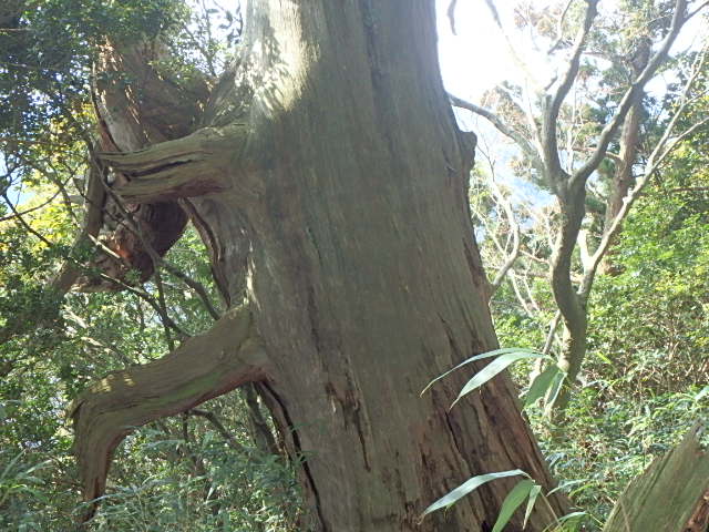 f0334143_8425924.jpg