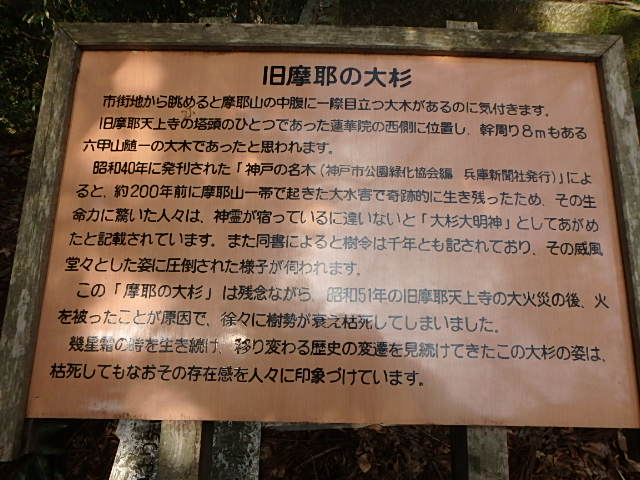 f0334143_8432666.jpg
