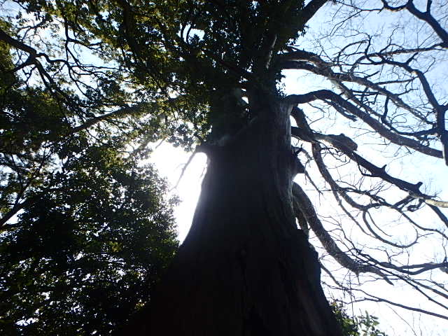 f0334143_8434838.jpg