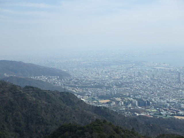 f0334143_8454855.jpg