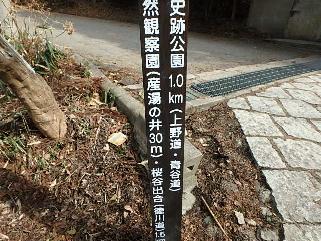 f0334143_847498.jpg