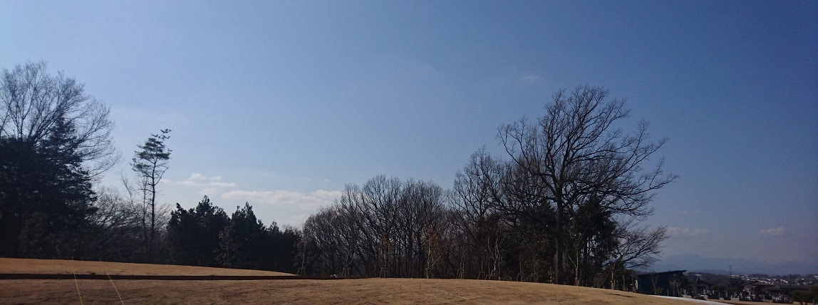 f0087347_2033429.jpg