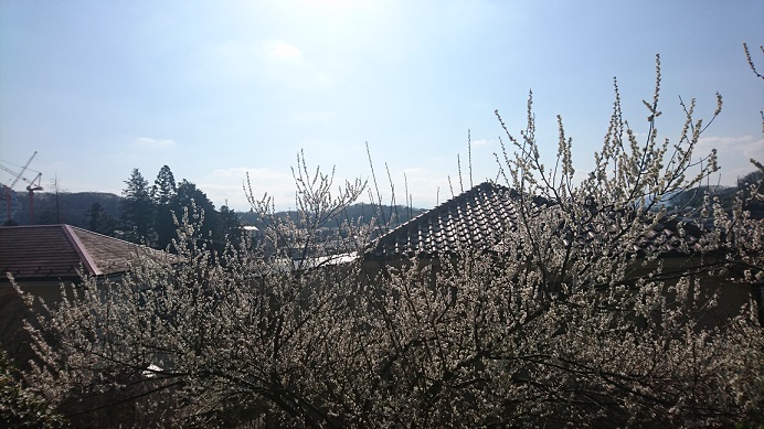 f0087347_2044632.jpg