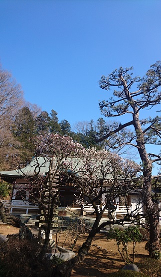 f0087347_20452159.jpg