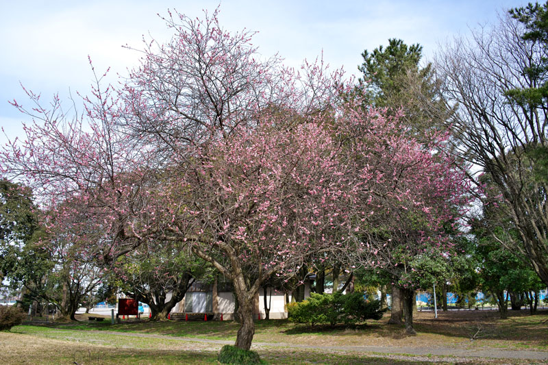 d0342652_16485953.jpg