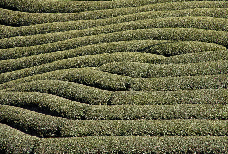 e0128863_20091342.jpg