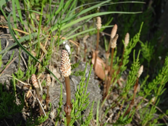 c0143772_185241.jpg