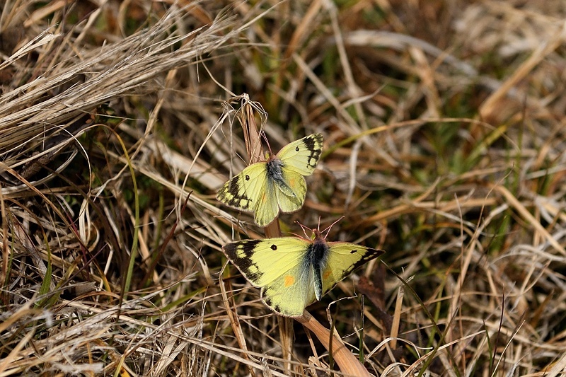 f0031682_16302909.jpg