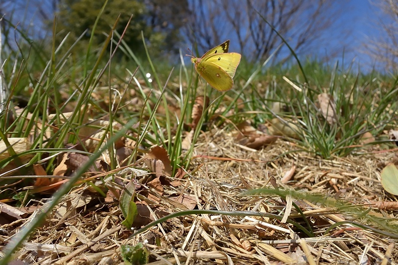 f0031682_16303560.jpg