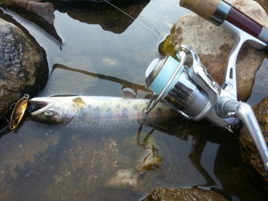 f0183484_18271973.jpg