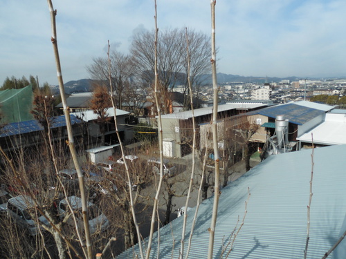 c0108198_18104639.jpg