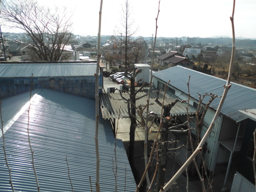 c0108198_1811416.jpg