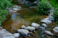 e0115301_21140535.jpg