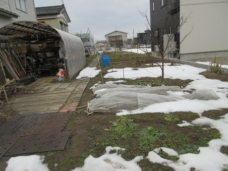 a0203003_202223100.jpg
