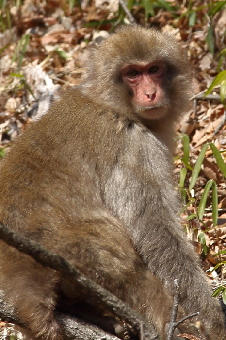 a0357206_20433214.jpg